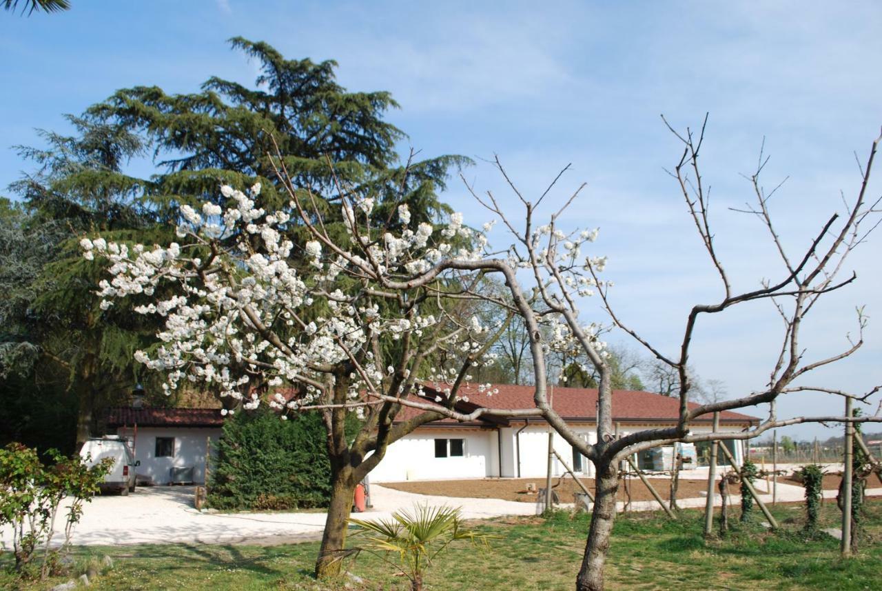 Willa Agriturismo Il Rovere Lonato Zewnętrze zdjęcie