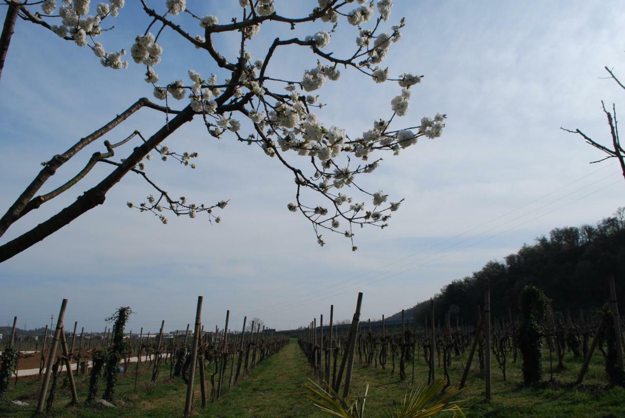 Willa Agriturismo Il Rovere Lonato Zewnętrze zdjęcie