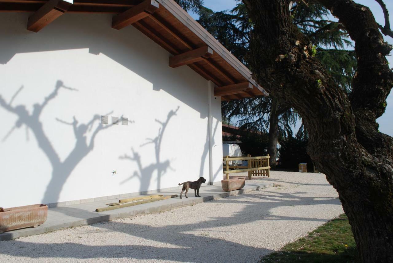 Willa Agriturismo Il Rovere Lonato Zewnętrze zdjęcie