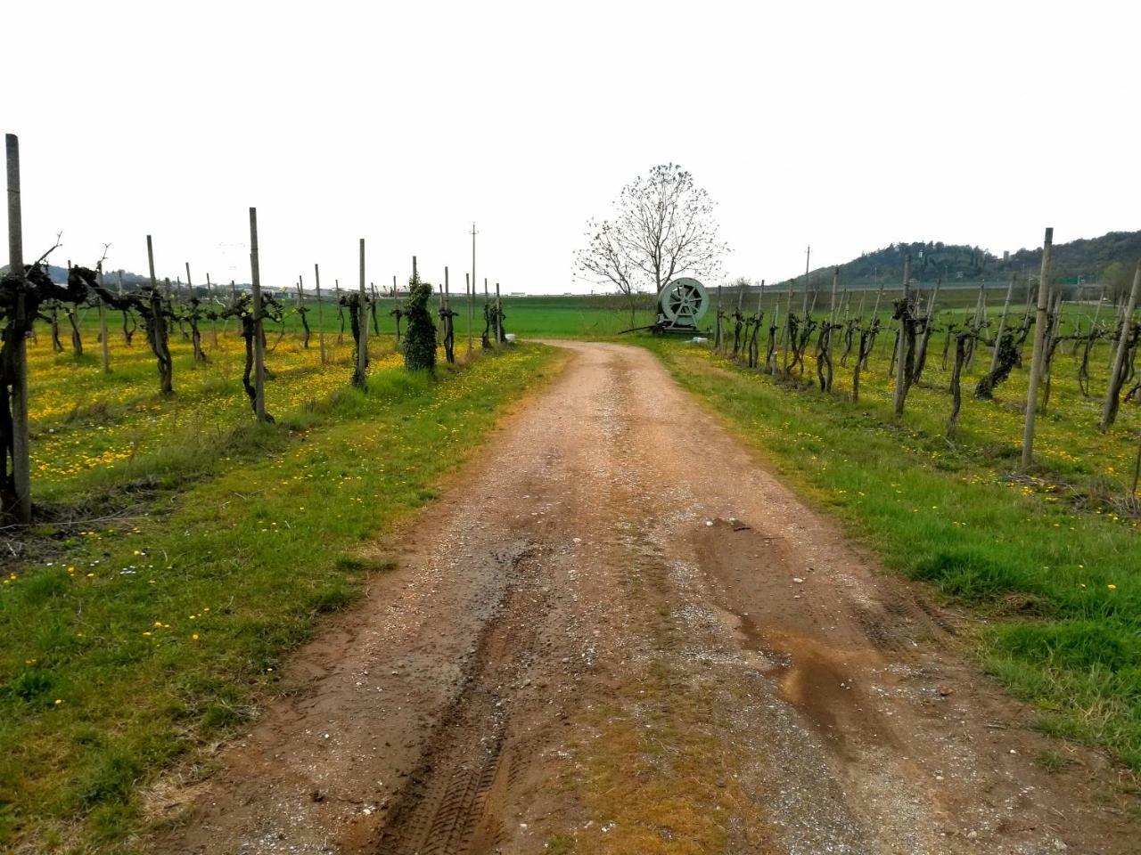 Willa Agriturismo Il Rovere Lonato Zewnętrze zdjęcie